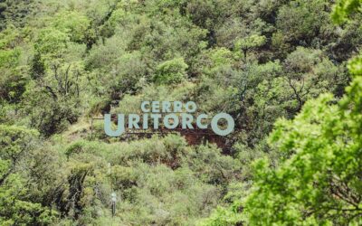 Rellenos Faciales en Córdoba: Recupera tu Volumen con Precisión