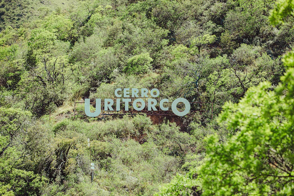 rellenos faciales Córdoba